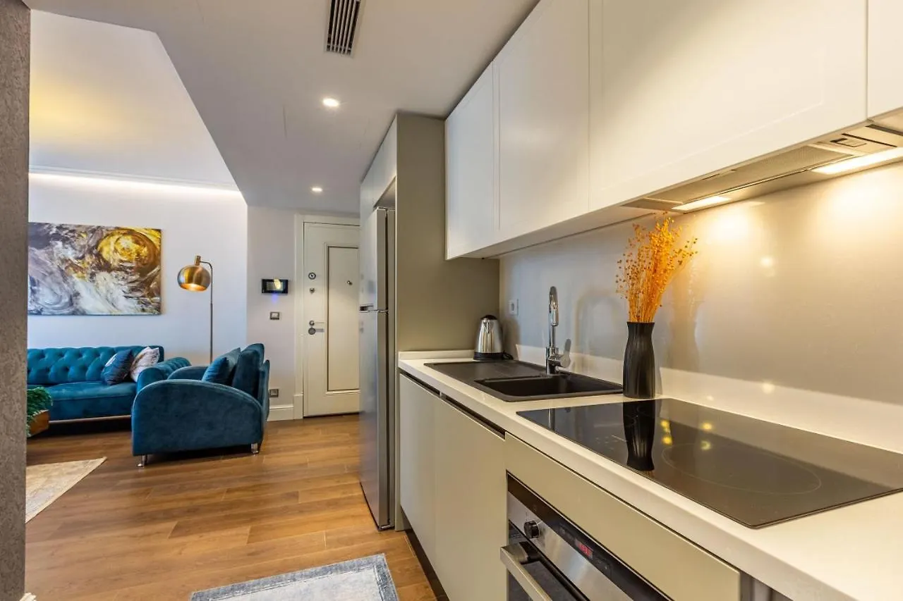 Apartman Trendy Beyoglu: Stylish Residence Nearby Isztambul